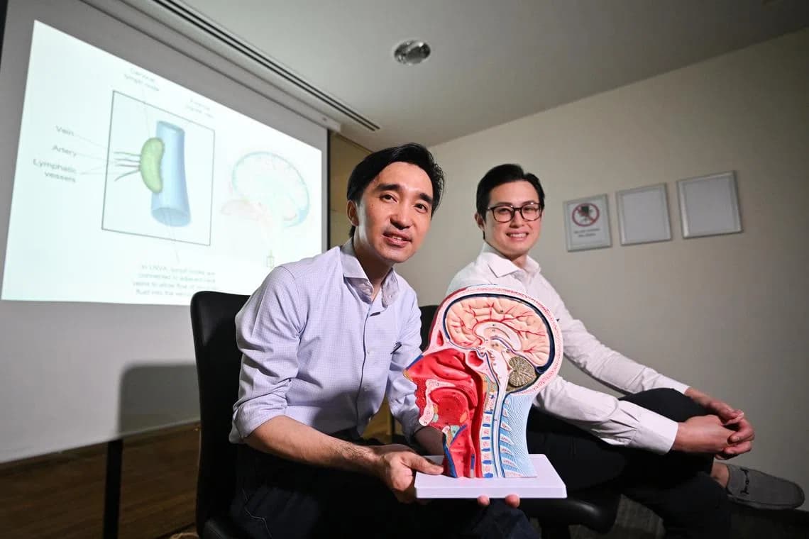 The Straits Times feature image on lymphatic bypass research